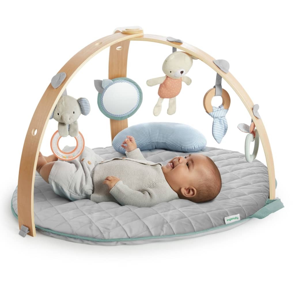 Ingenuity Reversible Activity Gym Cozy Spot