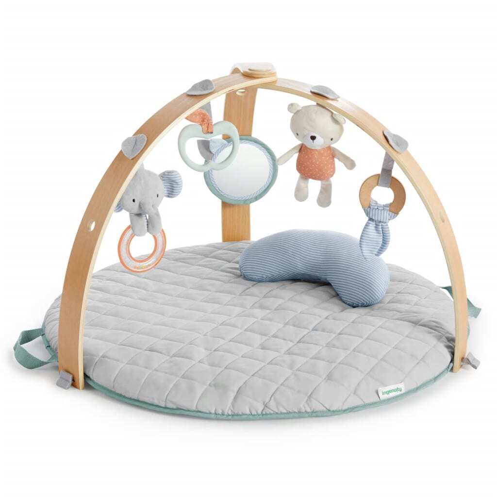 Ingenuity Reversible Activity Gym Cozy Spot