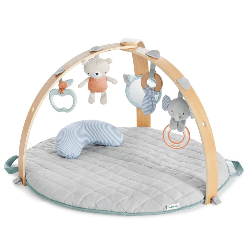 Ingenuity Reversible Activity Gym Cozy Spot