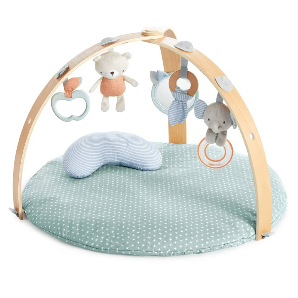 Ingenuity Reversible Activity Gym Cozy Spot