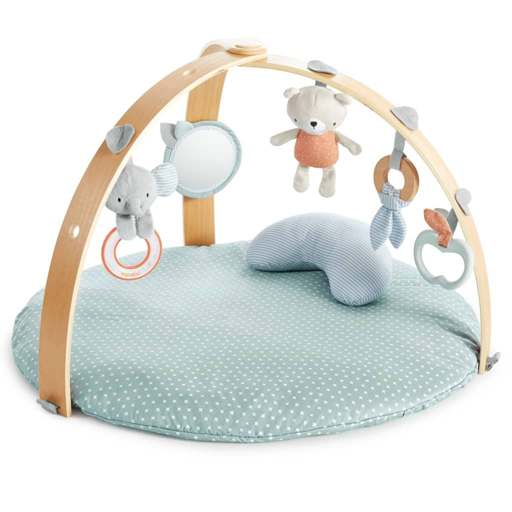 Ingenuity Reversible Activity Gym Cozy Spot