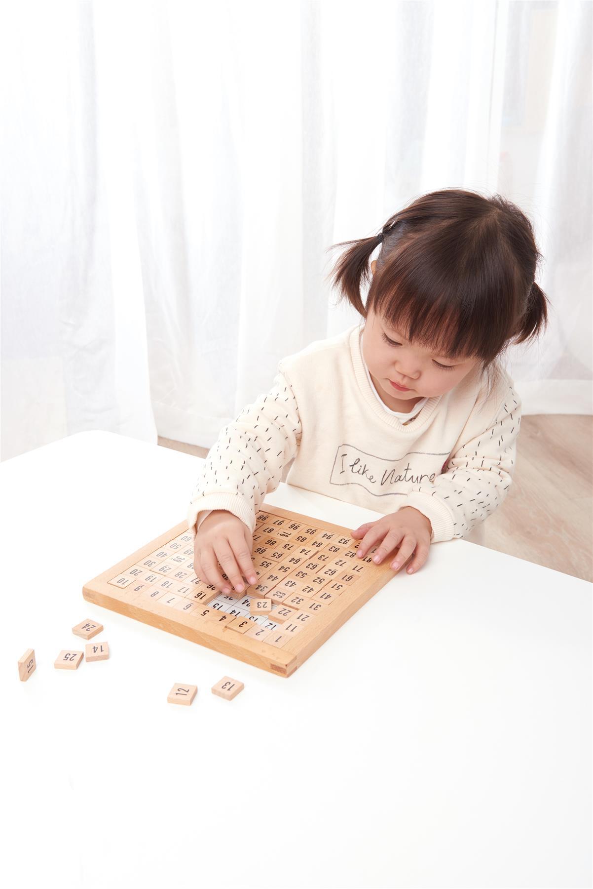 LELIN Wooden Hundred Board Game - 1 To 100 Consecutive Numbers Montessori Maths
